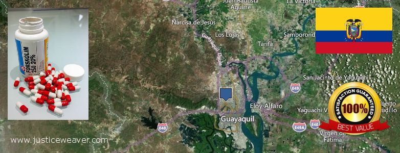 Where Can I Purchase Forskolin Diet Pills online Guayaquil, Ecuador