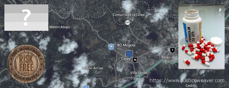 Dónde comprar Forskolin en linea Guaynabo, Puerto Rico