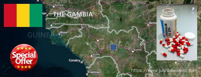 어디에서 구입하는 방법 Forskolin 온라인으로 Guinea