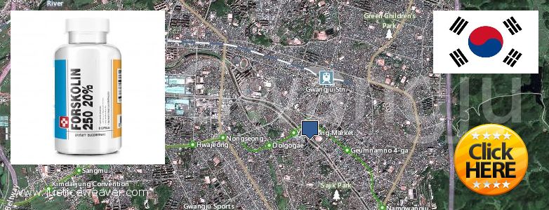 어디에서 구입하는 방법 Forskolin 온라인으로 Gwangju, South Korea