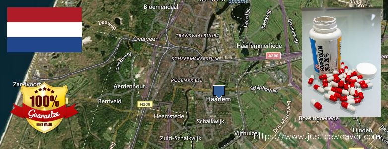 Waar te koop Forskolin online Haarlem, Netherlands