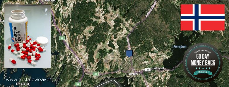 Purchase Forskolin Diet Pills online Halden, Norway Where Can I Buy Forskolin Diet Pills online Halden, Norway