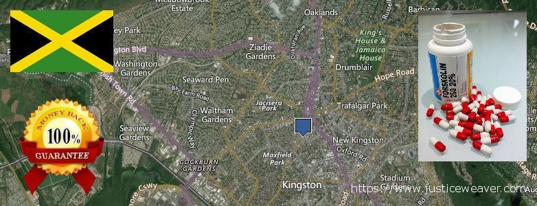 Purchase Forskolin Diet Pills online Half Way Tree, Jamaica Where to Purchase Forskolin Diet Pills online Half Way Tree, Jamaica