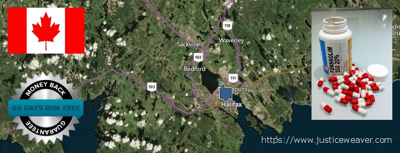Acheter Forskolin en ligne Halifax, Canada Où Acheter Forskolin en ligne Halifax, Canada