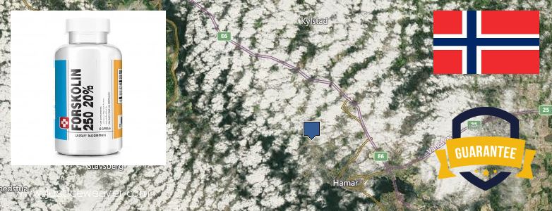 Where to Buy Forskolin Diet Pills online Hamar, Norway