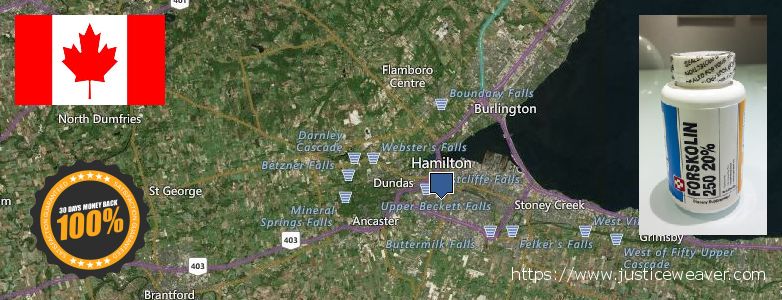 Où Acheter Forskolin en ligne Hamilton, Canada