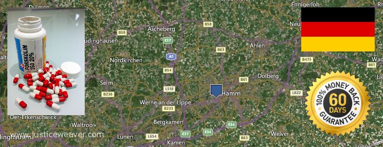 Hvor kan jeg købe Forskolin online Hamm, Germany