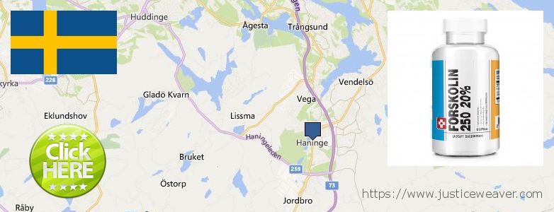 Where to Buy Forskolin Diet Pills online Haninge, Sweden