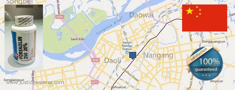 Buy Forskolin Diet Pills online Harbin, China Purchase Forskolin Diet Pills online Harbin, China