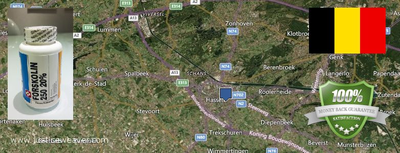 Où Acheter Forskolin en ligne Hasselt, Belgium
