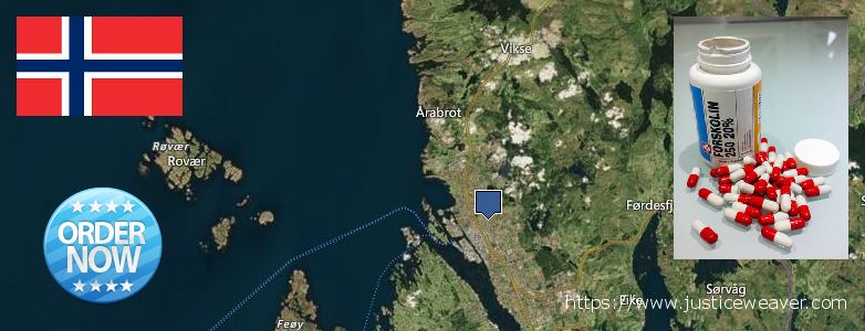 Where to Buy Forskolin Diet Pills online Haugesund, Norway