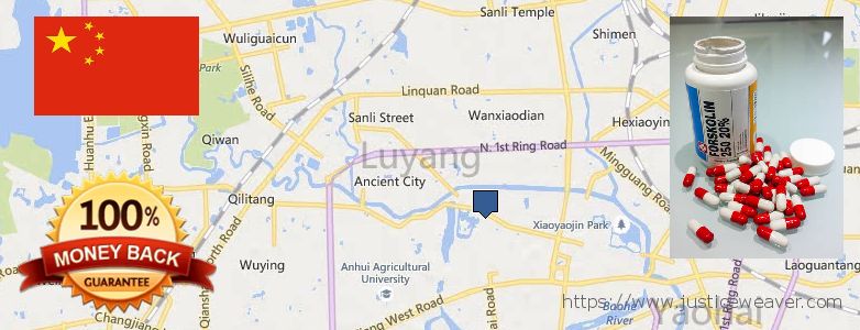 어디에서 구입하는 방법 Forskolin 온라인으로 Hefei, China