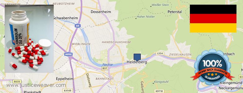 Wo kaufen Forskolin online Heidelberg, Germany