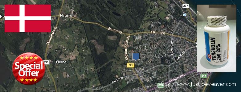 Purchase Forskolin Diet Pills online Helsingor, Denmark