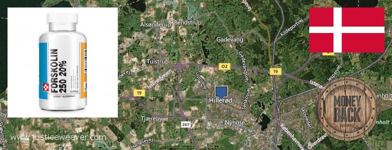 Buy Forskolin Diet Pills online Hillerod, Denmark Where to Purchase Forskolin Diet Pills online Hillerod, Denmark