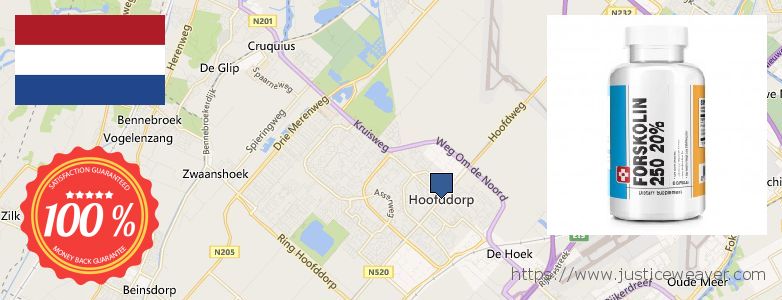 Waar te koop Forskolin online Hoofddorp, Netherlands