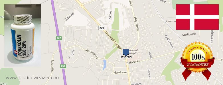 Hvor kan jeg købe Forskolin online Horsholm, Denmark