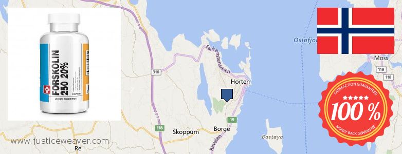 Hvor kjøpe Forskolin online Horten, Norway