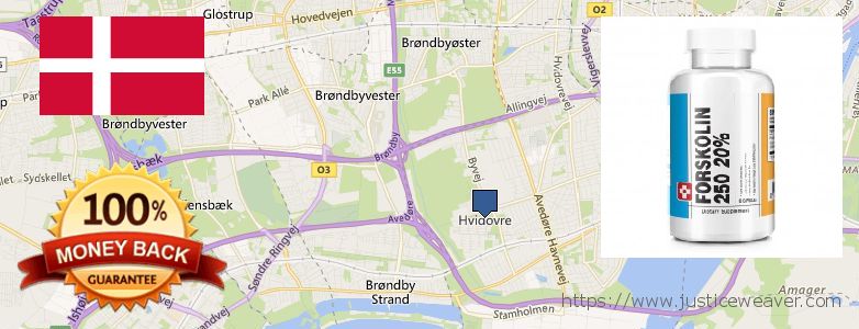 Hvor kan jeg købe Forskolin online Hvidovre, Denmark