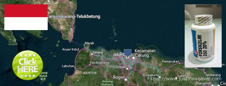 Where to Buy Forskolin Diet Pills online Jakarta, Indonesia