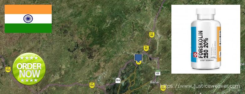 कहॉ से खरीदु Forskolin ऑनलाइन Jodhpur, India