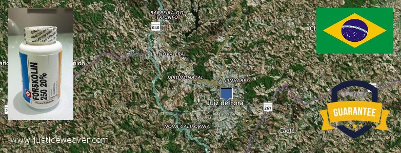 Wo kaufen Forskolin online Juiz de Fora, Brazil