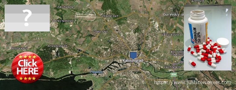 Где купить Forskolin онлайн Kaliningrad, Russia