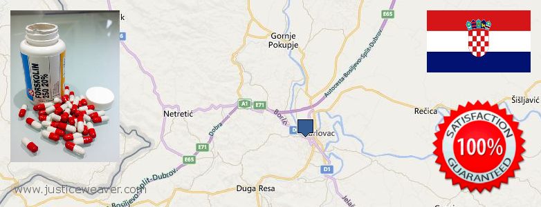 Dove acquistare Forskolin in linea Karlovac, Croatia