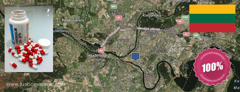 Where to Buy Forskolin Diet Pills online Kaunas, Lithuania