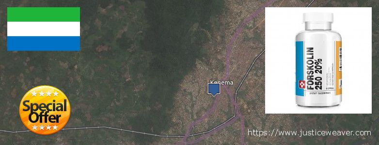 Purchase Forskolin Diet Pills online Kenema, Sierra Leone