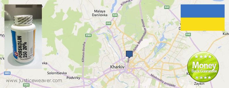 Где купить Forskolin онлайн Kharkiv, Ukraine
