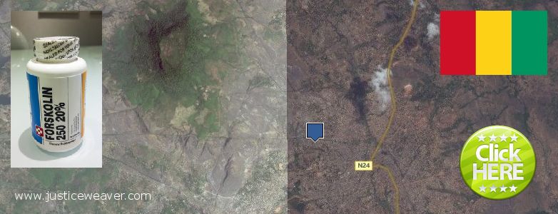 Where to Purchase Forskolin Diet Pills online Kindia, Guinea