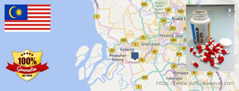 Membeli Forskolin talian Klang, Malaysia Di manakah boleh dibeli Forskolin talian Klang, Malaysia