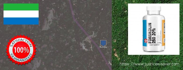 Buy Forskolin Diet Pills online Koidu, Sierra Leone