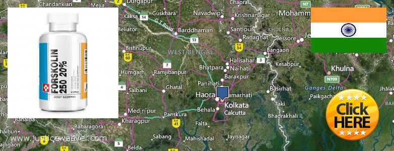 कहॉ से खरीदु Forskolin ऑनलाइन Kolkata, India
