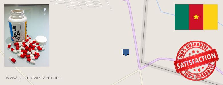 Where to Purchase Forskolin Diet Pills online Kousseri, Cameroon