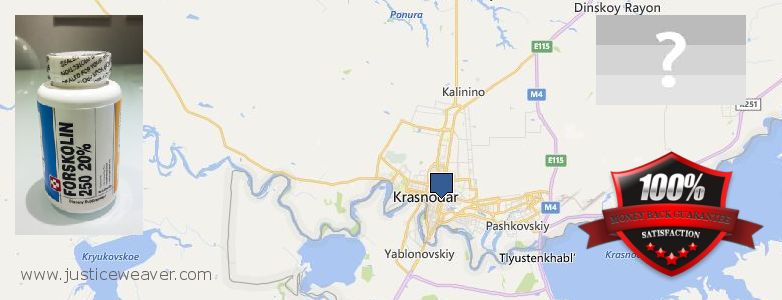 Jälleenmyyjät Forskolin verkossa Krasnodar, Russia