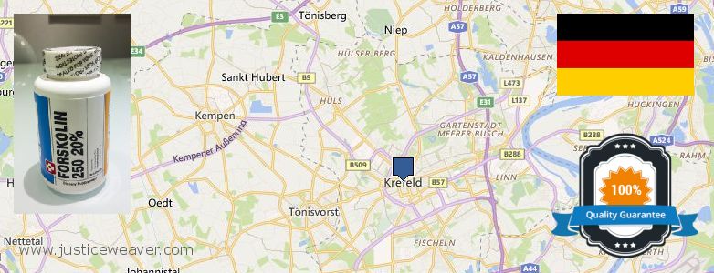 Hvor kan jeg købe Forskolin online Krefeld, Germany