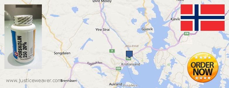 Where to Buy Forskolin Diet Pills online Kristiansand, Norway