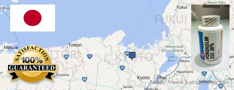 どこで買う Forskolin オンライン Kyoto, Japan