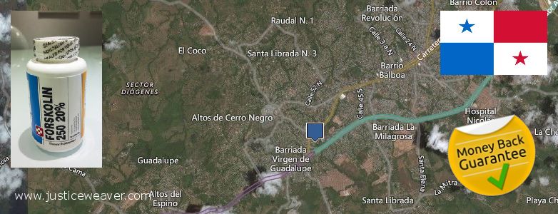 Where to Purchase Forskolin Diet Pills online La Chorrera, Panama