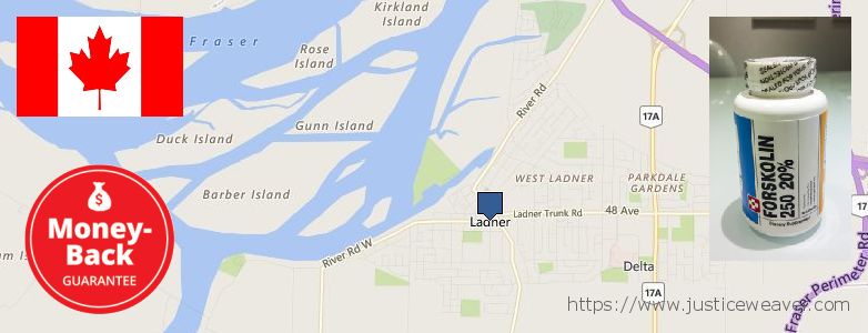 Purchase Forskolin Diet Pills online Ladner, Canada Purchase Forskolin Diet Pills online Ladner, Canada