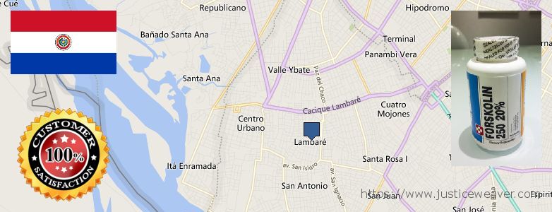 Dónde comprar Forskolin en linea Lambare, Paraguay