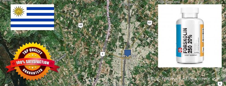 Buy Forskolin Diet Pills online Las Piedras, Uruguay