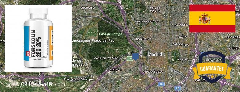 Dónde comprar Forskolin en linea Latina, Spain