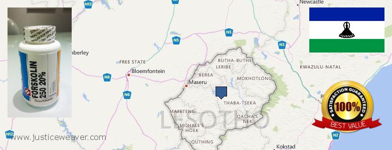 Dimana tempat membeli Forskolin online Lesotho