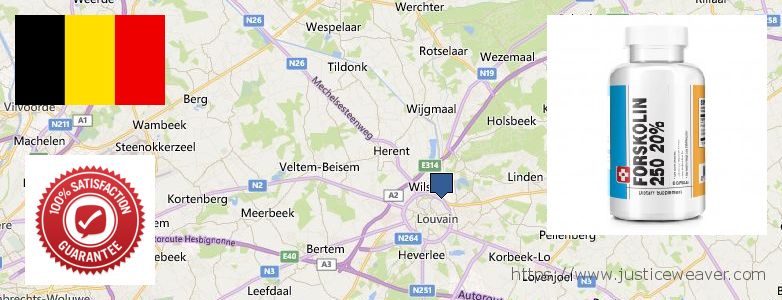 Where Can I Buy Forskolin Diet Pills online Leuven, Belgium
