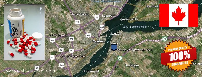 Where to Buy Forskolin Diet Pills online Levis, Canada