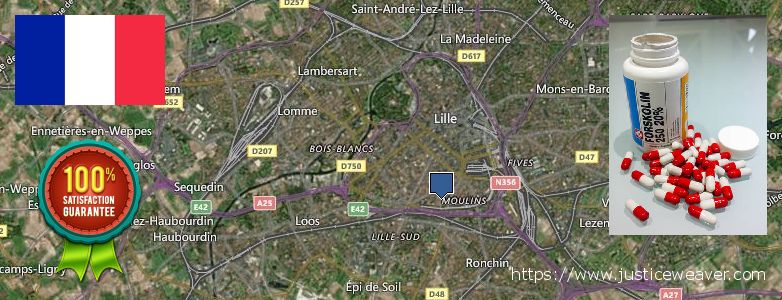 Where Can I Purchase Forskolin Diet Pills online Lille, France