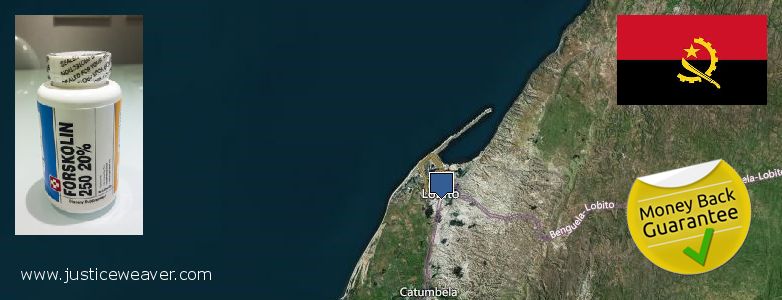 Where to Buy Forskolin Diet Pills online Lobito, Angola